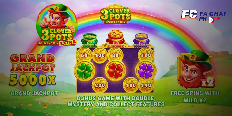 3 clover pots - fachai